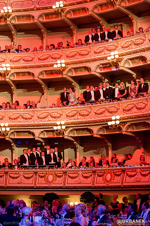 Dresdner Semperopernball 2014
