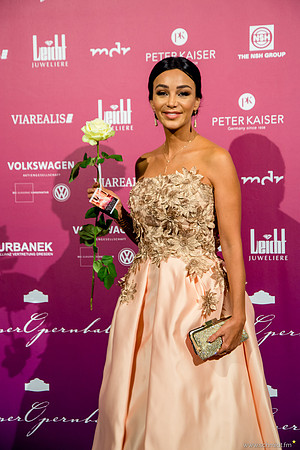 Semperopernball 2017