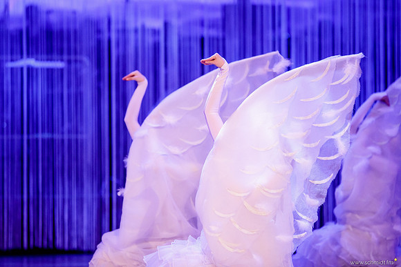 Semperopernball 2017