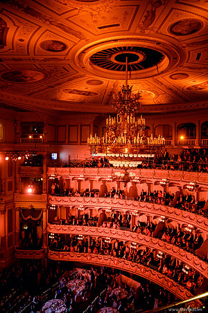 Semperopernball 2017