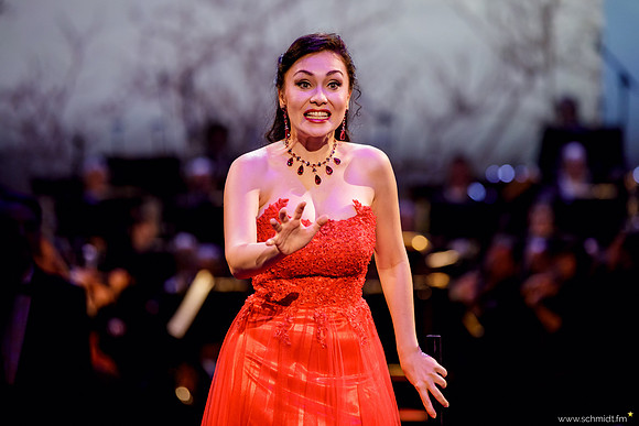 Semperopernball 2017
