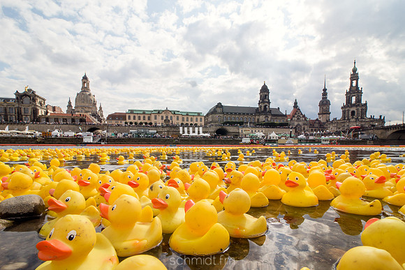 Königsufer - Enten-Cup