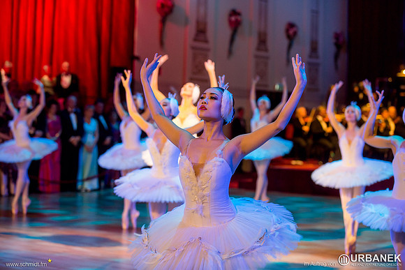 Semperopernball 2015
