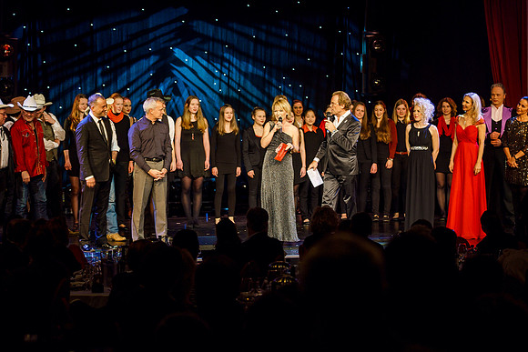 Galanacht der Stars 2015