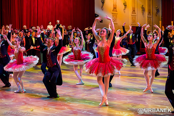 Dresdner Semperopernball 2014