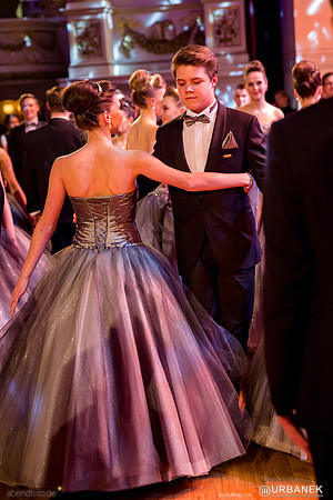 Dresdner Semperopernball 2014
