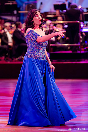 Dresdner Semperopernball 2014