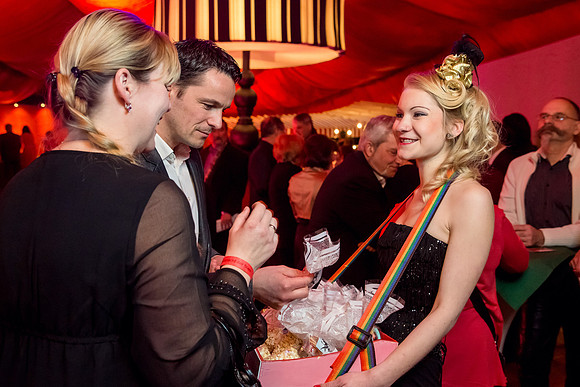 Galanacht der Stars 2015