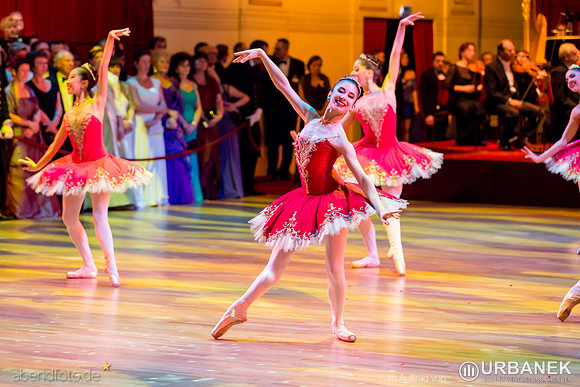 Dresdner Semperopernball 2014