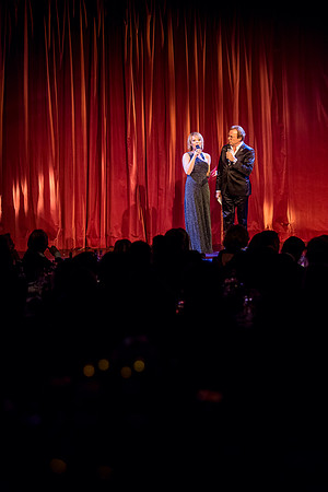Galanacht der Stars 2015