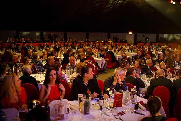 Galanacht der Stars 2015