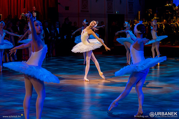 Semperopernball 2015