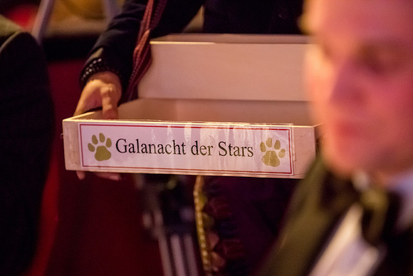 Galanacht der Stars 2015