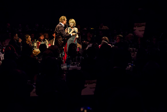 Galanacht der Stars 2015